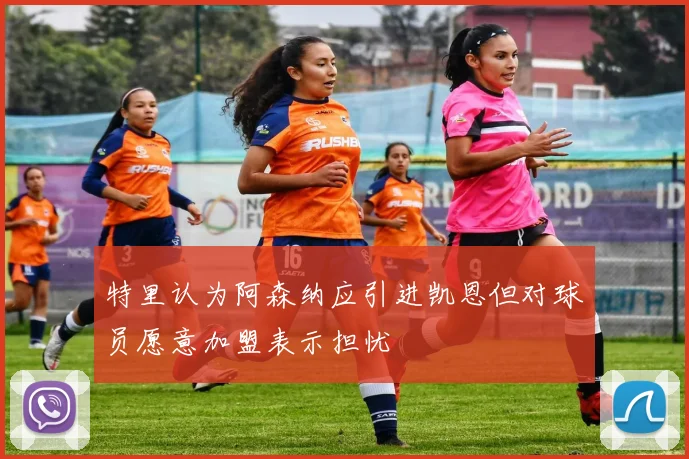 特里认为阿森纳应引进凯恩但对球员愿意加盟表示担忧